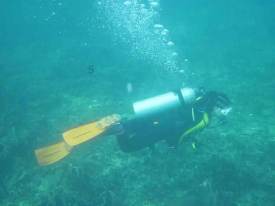 投篮得高分